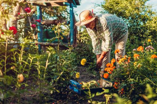 A woman gardening