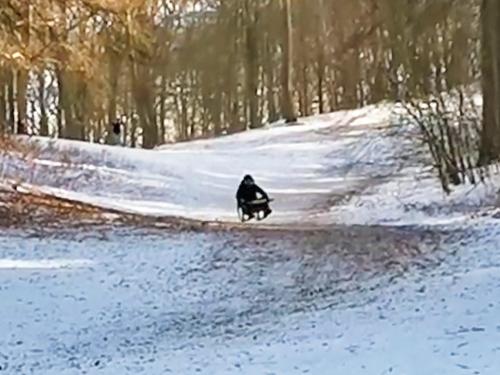 Driver goes down a hill on a QUADRO sled